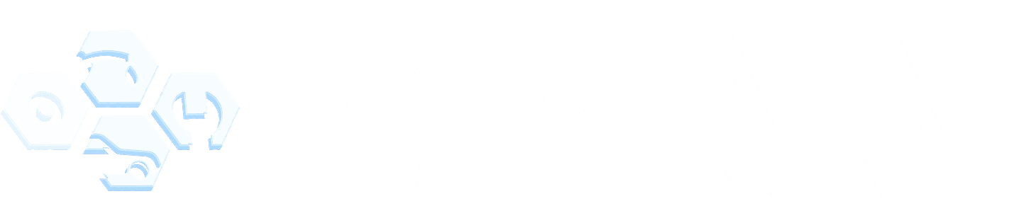 Logo Borchacar
